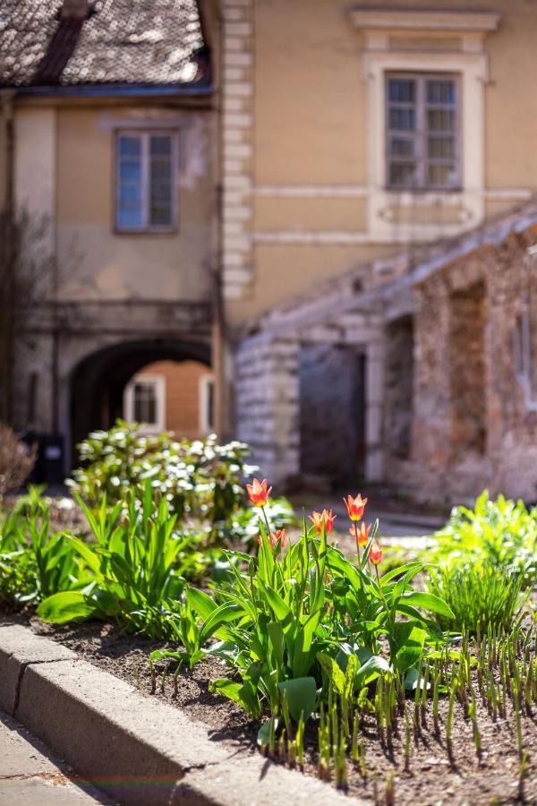 #Stayhere - Historic Vilnius Old Town Chic Studio Exterior photo